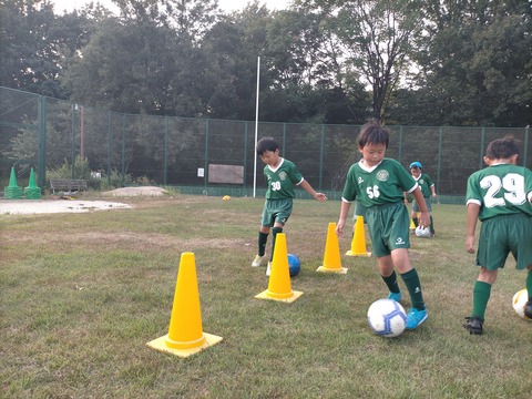 IMG20200819174308