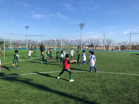 0_e80Ud018svcpefvmir7mflf_hf8mmg