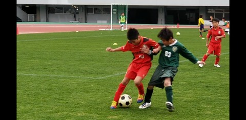 Screenshot_20191230-042259_Photos