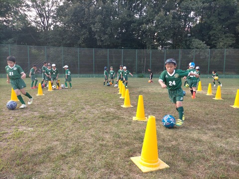 IMG20200819174455