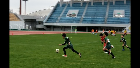 Screenshot_20191230-043447_Photos