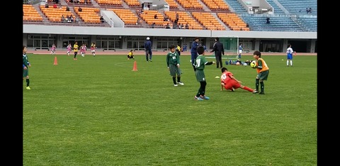 Screenshot_20191230-041208_Photos