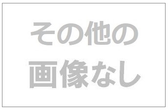 画像なし - コピー