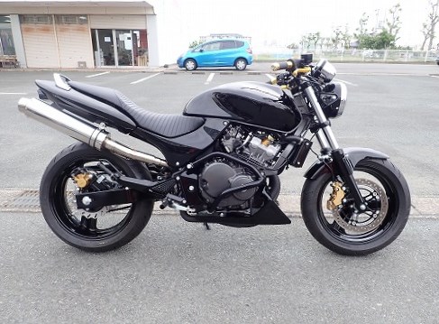 HORNET(ﾎｰﾈｯﾄ)250：【完】シックでいて異彩をを放つ存在