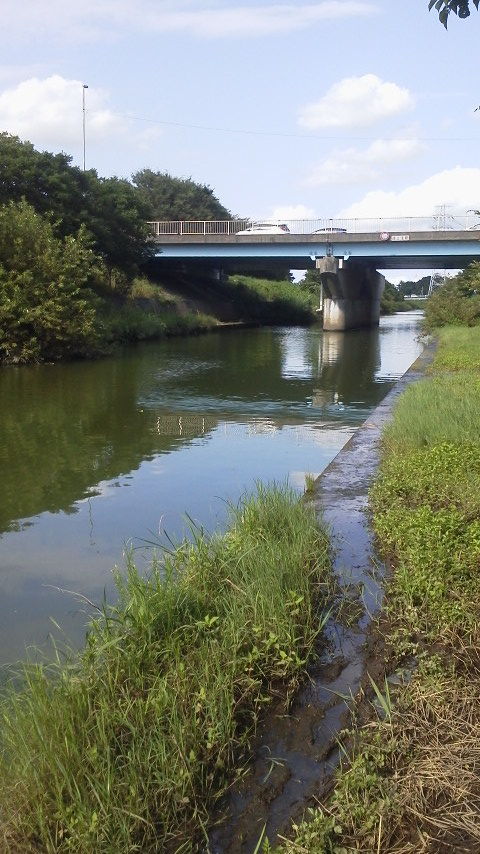 幸手放水路 関宿城 Bassin Life 幸手放水路 関宿城 Bassin Life