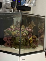 IMG_20200801_183721