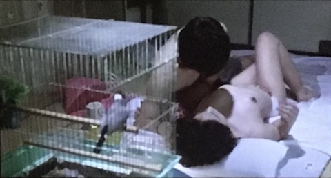 16922B25-D8D0-4A38-9343-6B31AE21F8A5