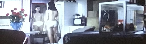 D5A9C823-B273-447E-A8AE-012CDD5C2287