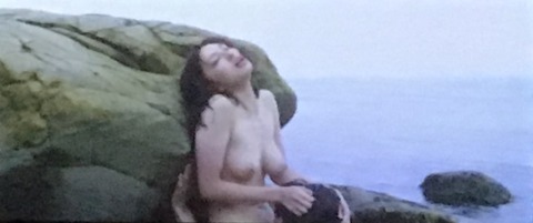 7006861C-95A0-4043-ADC4-396304DA1AE3