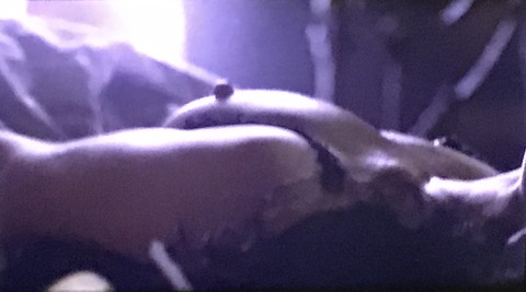 0F1084F1-1AD2-4EA0-8F34-82FA3278F67F