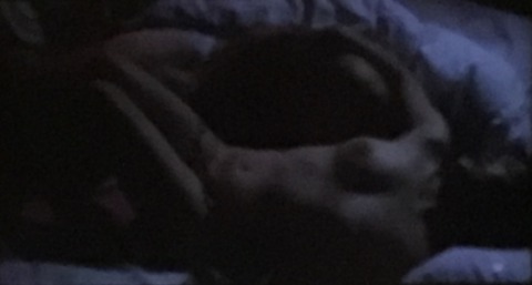 DED2F6E9-E2AC-40B9-BAD2-455C7D05CDCC