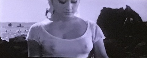 E771179A-8639-412B-B2C0-93032930592D