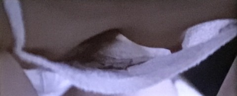 F75D8AF6-F846-4C17-818A-CE5B7221EAFB