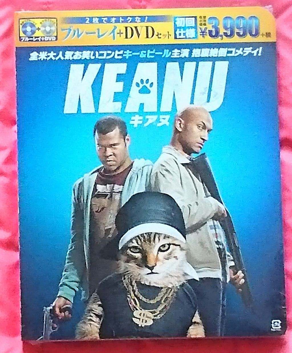 アレクサンダー ルドウィグ Alexander Ludwig Japaneseclass Jp アレクサンダー ルドウィグ Alexander Ludwig Japaneseclass Jp