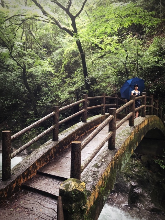 o0810108014558174763