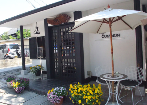 common_01