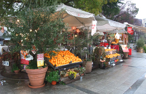 cafeponte_italiano_01