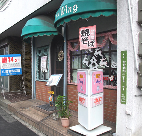 wing_01