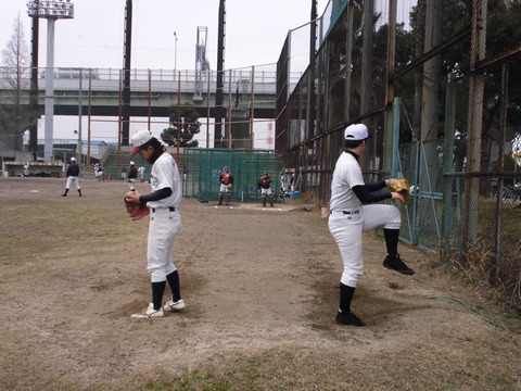 baseball 273