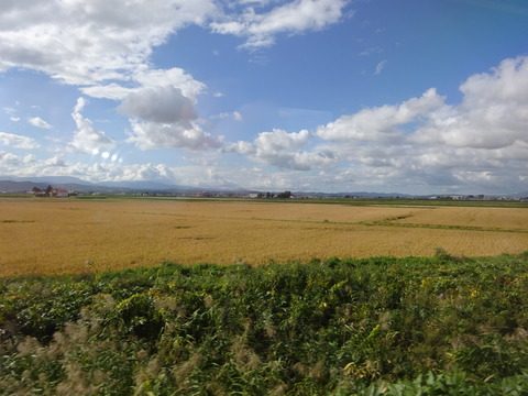 DSC08165