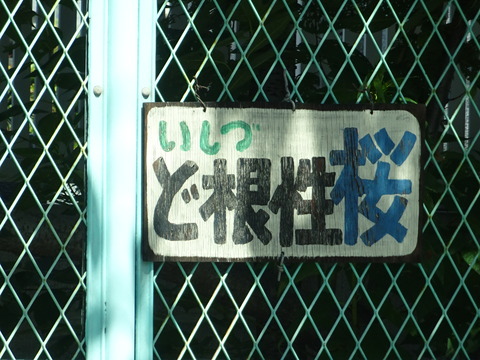 DSC00671