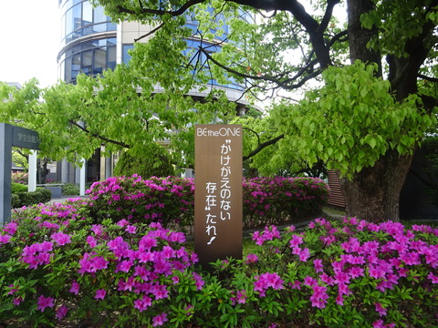 DSC06880