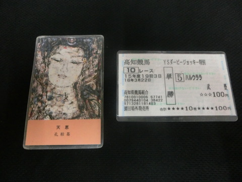CIMG8009