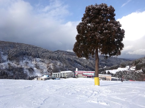 DSC02178