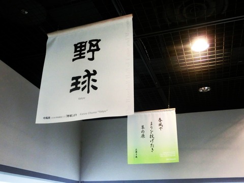 CIMG8371