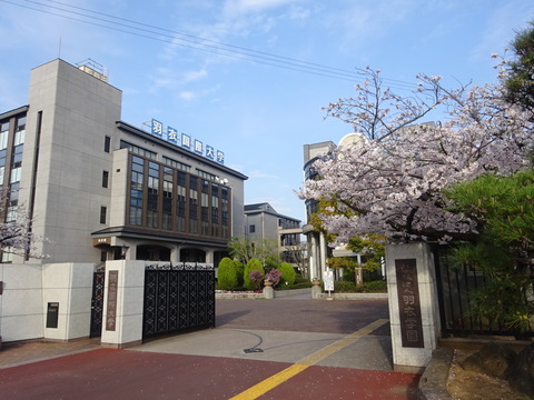 DSC06842