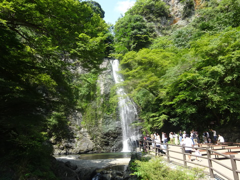 DSC07895