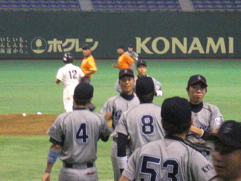 baseball 204