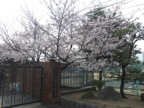 CIMG0593