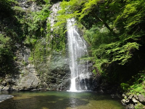 DSC07900