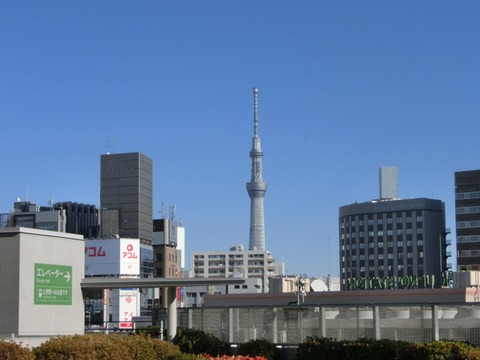 CIMG5480