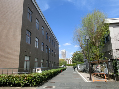 CIMG6461