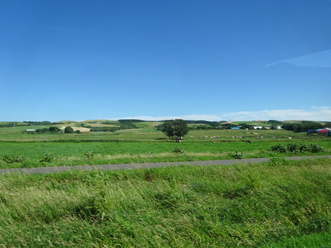 DSC01110