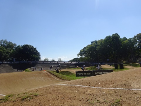 DSC08346