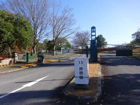 DSC05139