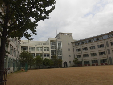 CIMG5952