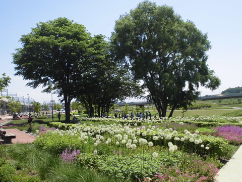 CIMG9981