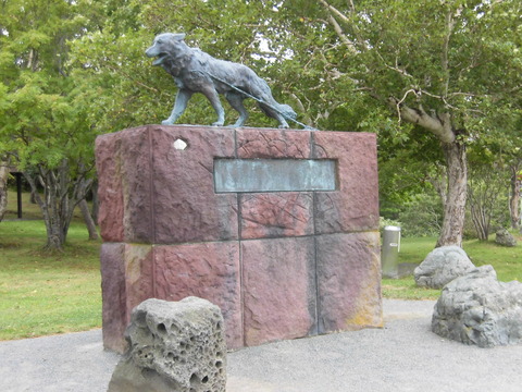 CIMG5668