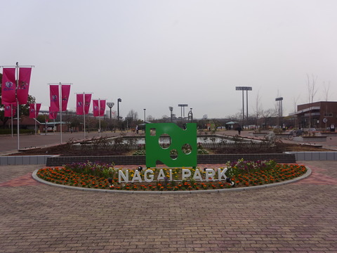 DSC02242