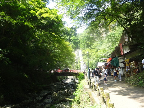 DSC07894
