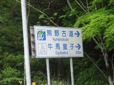DSC03386