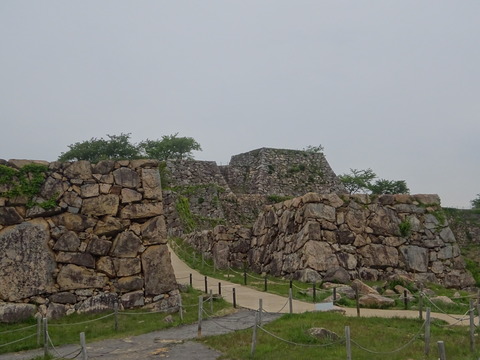 DSC03339