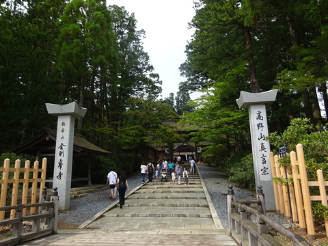 DSC01226