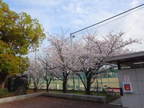 DSC06838