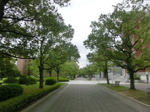 CIMG8021