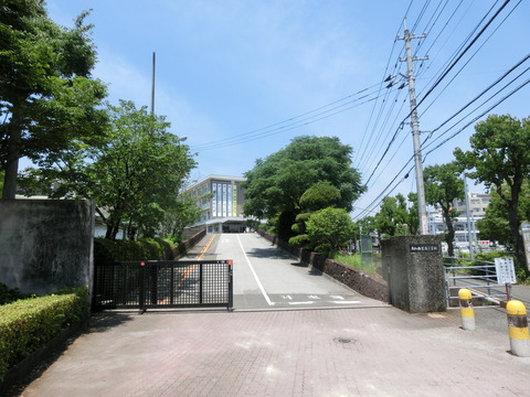 CIMG7237